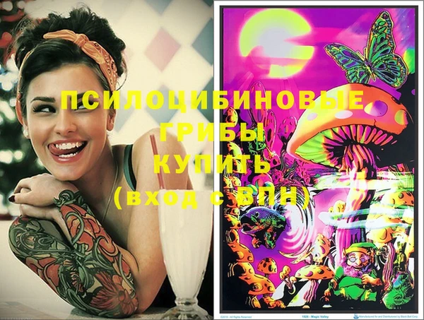 индика Белокуриха