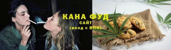 дмт Богородицк