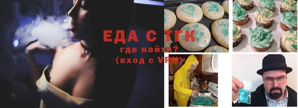 дмт Богородицк