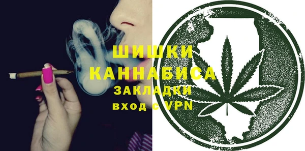 дмт Богородицк