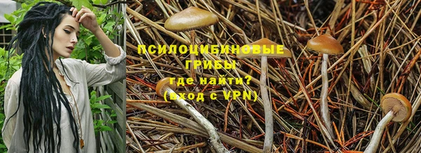 дмт Богородицк